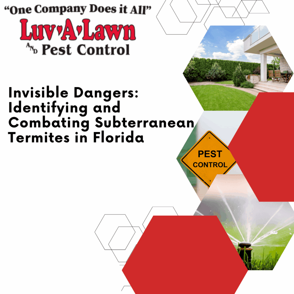 subterranean termites