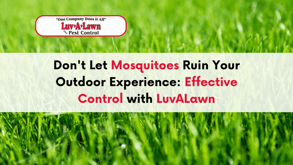 Mosquitoes