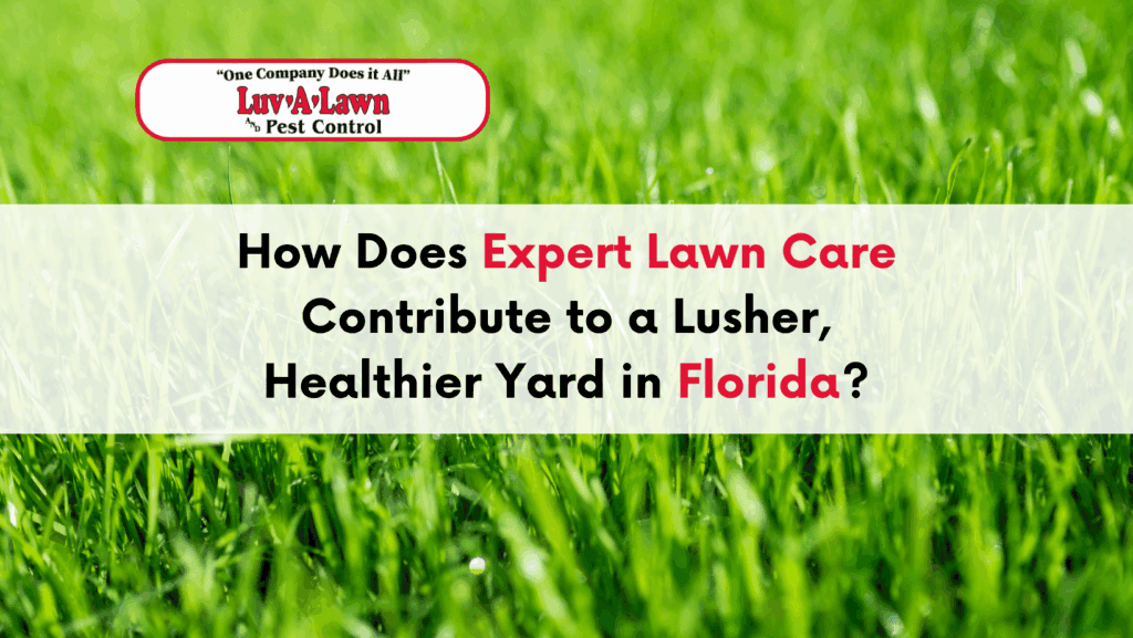 Lawn Care Services